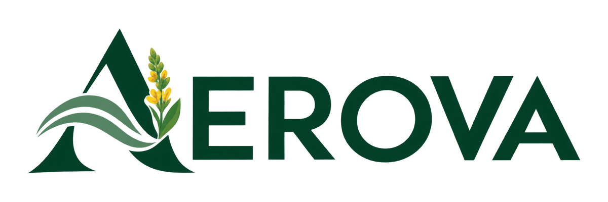 Aerova 